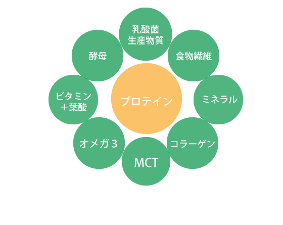 スーププロテイン配合成分_スープドルチェ